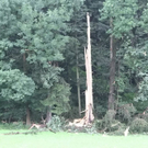 normal_14072011blitzffaktivnews_41.jpg