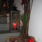 Schloss Hofener Advent  2008 _7_.jpg