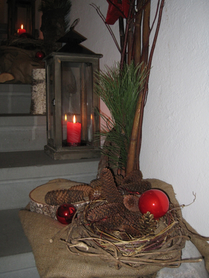 Schloss Hofener Advent  2008 _7_.jpg