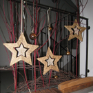 Schloss Hofener Advent  2008 _10_.jpg