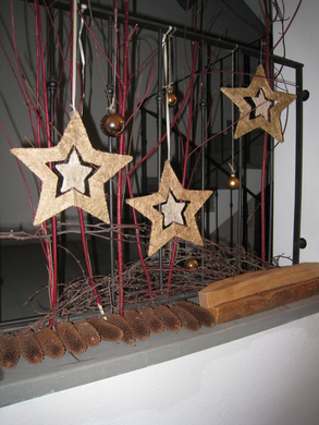 Schloss Hofener Advent  2008 _10_.jpg