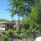 Professioneller Baumschnittkurs am See