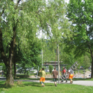 Baumschnittkurs am See 2011 _7__jpg-1310655918