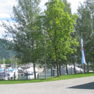 Baumschnittkurs am See 2011 _8__jpg-1310655939