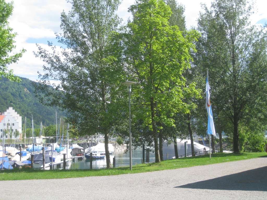 Baumschnittkurs am See 2011 _8__jpg-1310655939