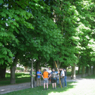 Baumschnittkurs am See 2011 _9__jpg-1310655958