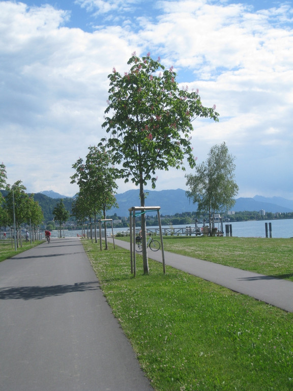 Baumschnittkurs am See 2011 _11__jpg-1310655991