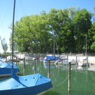 Baumschnittkurs am See 2011 _23__jpg-1310656176