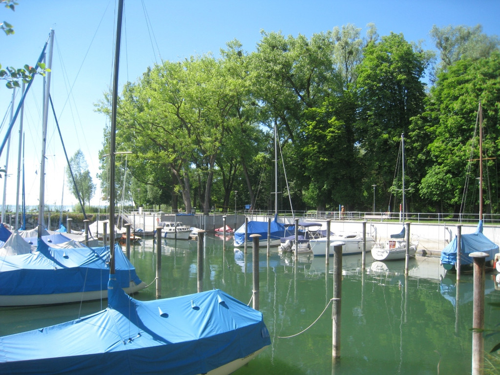 Baumschnittkurs am See 2011 _23__jpg-1310656176