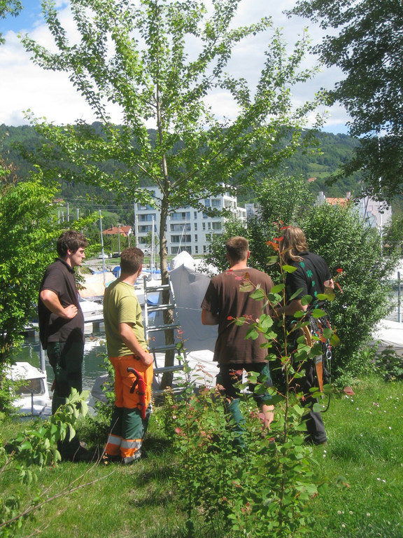 Baumschnittkurs am See 2011 _32__jpg-1310656344