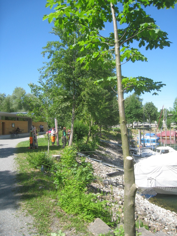 Baumschnittkurs am See 2011 _36__jpg-1310656421