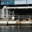 Online - 016.jpg