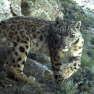 DAB0571-20110715.jpg