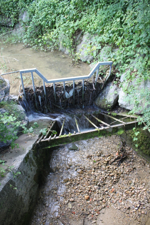 Spehler Zufahrt Oberlochauer Bach 2011 _19__jpg-1310727032