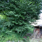 Spehler Zufahrt Oberlochauer Bach 2011 _16__jpg-1310726971