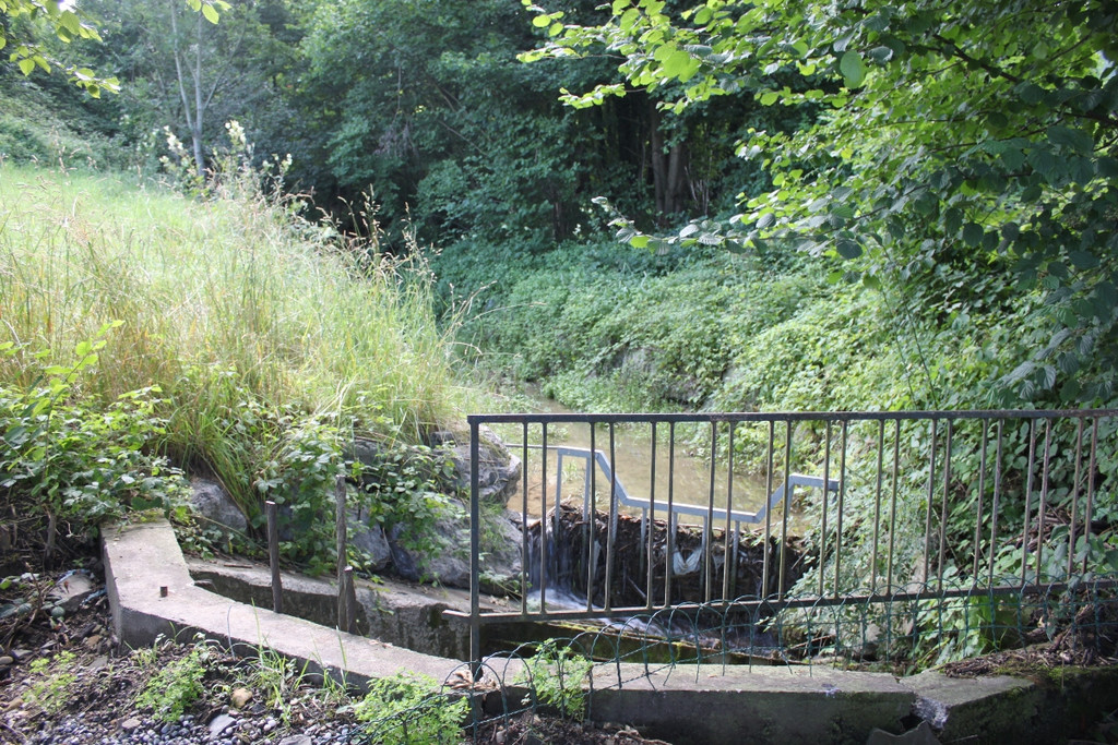 Spehler Zufahrt Oberlochauer Bach 2011 _17__jpg-1310726994