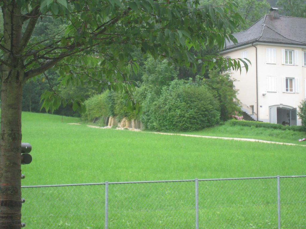 Spehler Zufahrt Oberlochauer Bach 2011 _28__jpg-1310727153