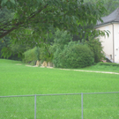Spehler Zufahrt Oberlochauer Bach 2011 _28__jpg-1310727153
