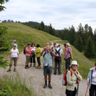 IMG_7169_jpg-1310729004