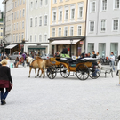 Fiaker-Bilder