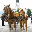 15072011fmt_fiaker_mw_003.JPG