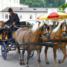 15072011fmt_fiaker_mw_012.JPG
