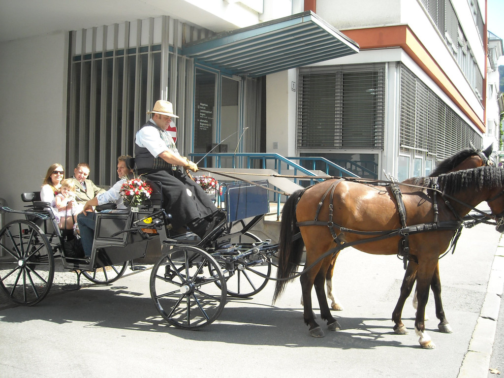 WolfgerKutsche.JPG