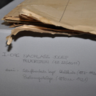 Die Mellauer Archivaufarbeitung