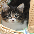 DSC_0195_JPG-1310800730