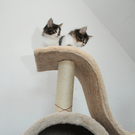 DSC_0241_JPG-1310800952