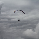 normal_15072011fmt_xalps_ta_011.jpg