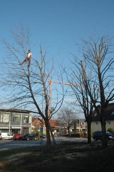 dorfplatz8.jpg