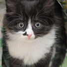 DSC_0199_JPG-1310828022