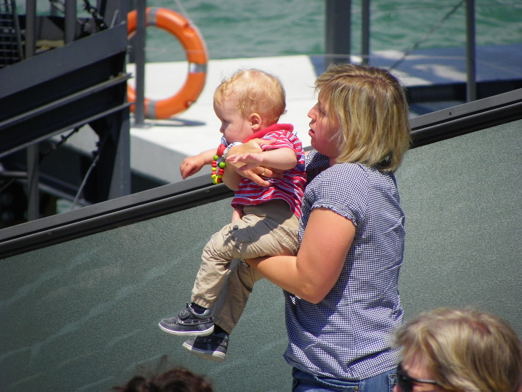 111_8096_JPG-1310861118