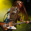 Levellers - Forestglade 2011 Wiesen -  florian wieser-27.jpg