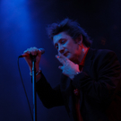 The Pogues - Forestglade 2011 Wiesen -  florian wieser-3.jpg
