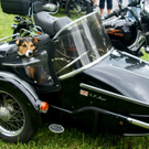 14_JPG-1310903104