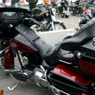 24_JPG-1310903178