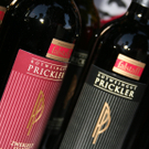 IMG_4407_jpg-1310917175