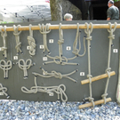 111_8647_JPG-1310938763