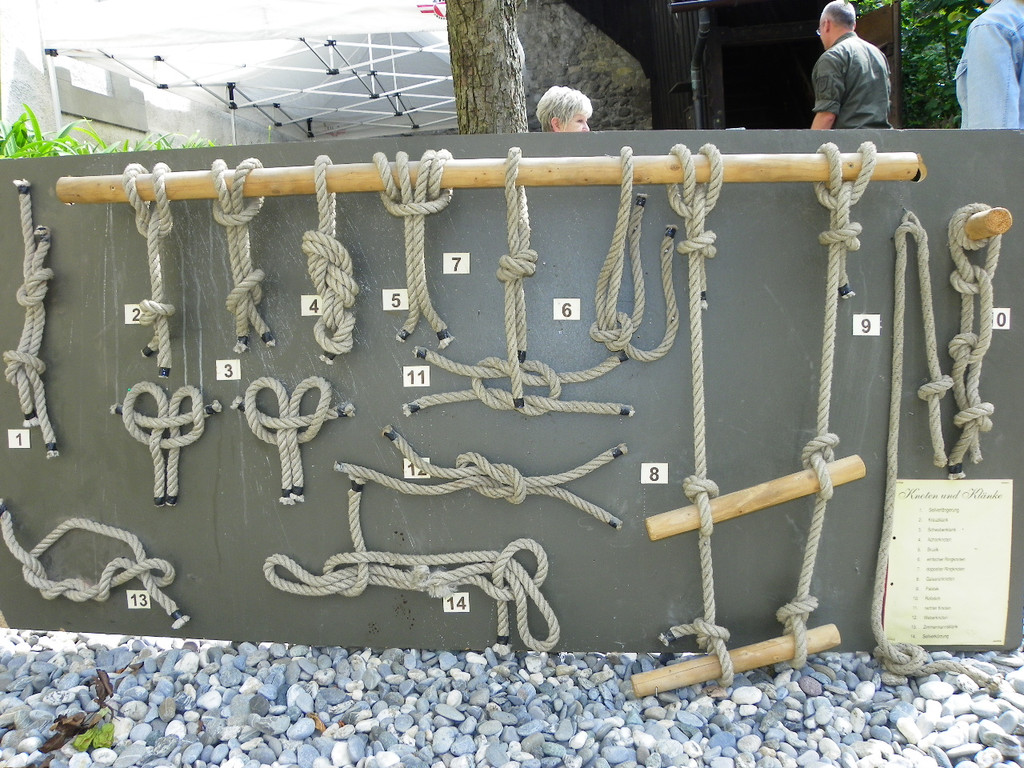 111_8647_JPG-1310938763