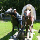 Planen 1c_JPG-1310972131