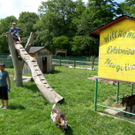 Streicheln 1a_JPG-1310972145