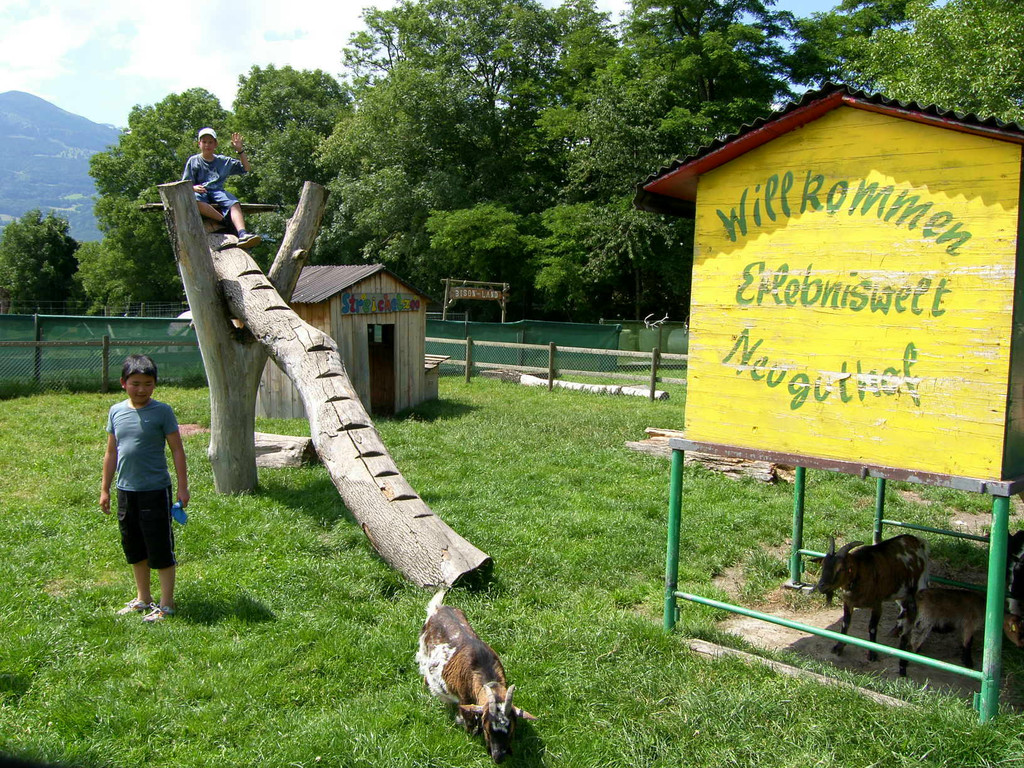 Streicheln 1a_JPG-1310972145