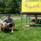 Streicheln 1b_JPG-1310972160