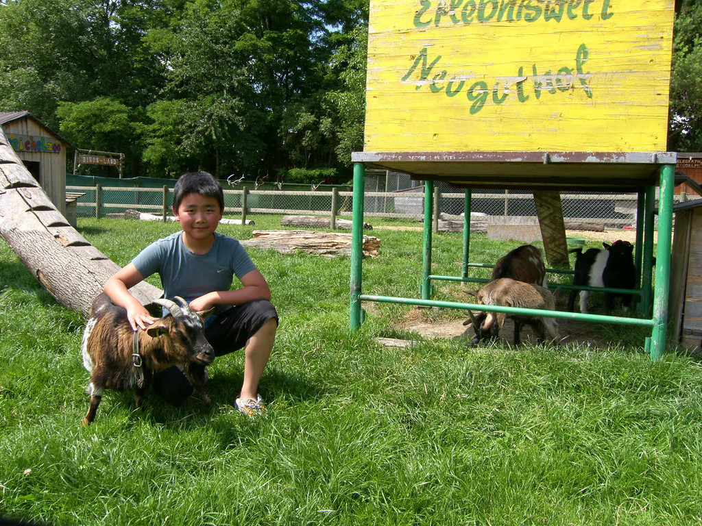 Streicheln 1b_JPG-1310972160