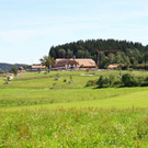 normal_17072011fmt_gutaiderbichl_mw_19.jpg