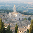 Werner 035_JPG-1310976222