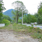 normal_18082011eschenwm2aktivnews_02.jpg