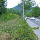 normal_18082011eschenwm2aktivnews_05.jpg